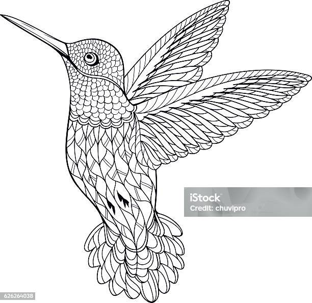 Coloring Page Hummingbird Stock Illustration - Download Image Now - Coloring Book Page - Illlustration Technique, Adult, Line Art
