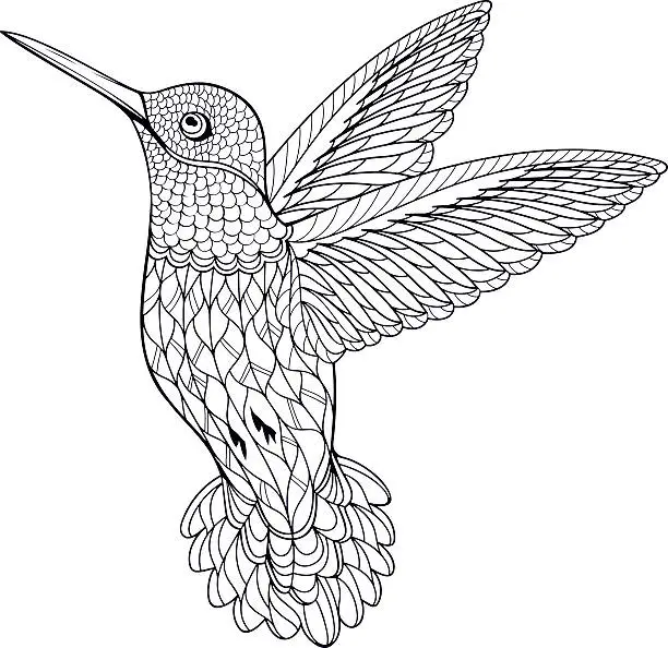 Vector illustration of Coloring Page Hummingbird