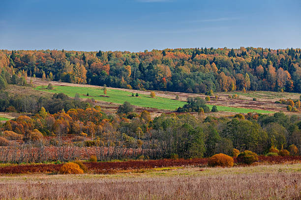 istock Colors of autumn 626266610