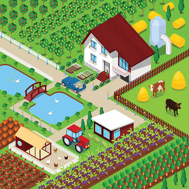 izometryczne wiejskie pole rolnicze ze zwierzętami i domem - isometric combine harvester tractor farm stock illustrations
