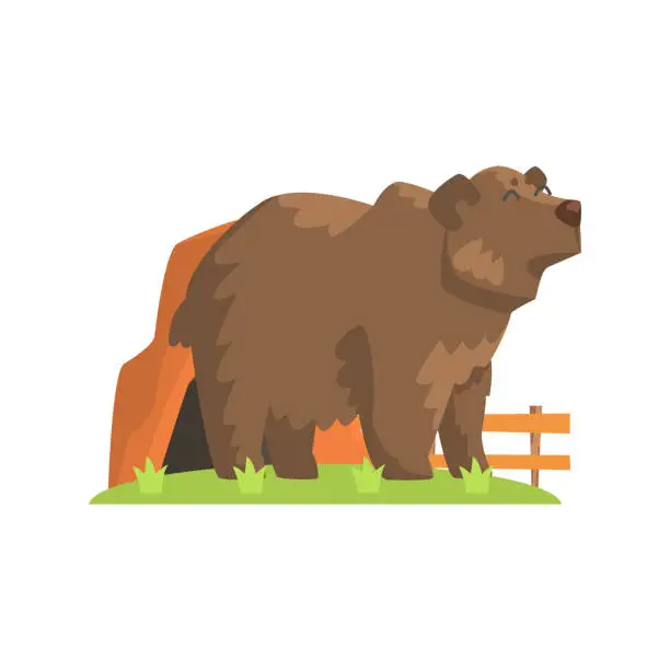 Vector illustration of Brown Bear Coming Out Of  Den Standing On Green Grass