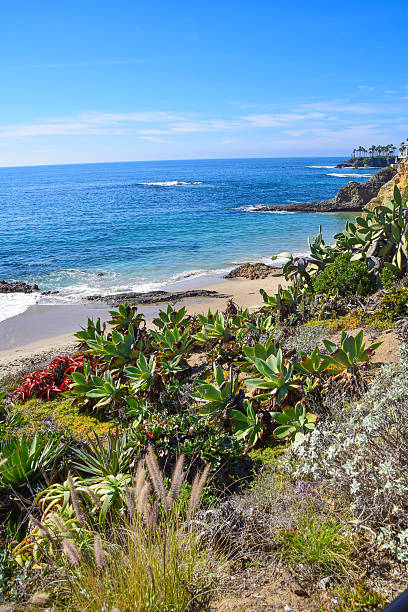 istock Heisler Park and Laguna Beach Coastline 626288128