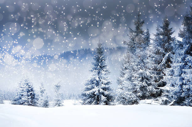 istock Christmas background with snowy fir trees 626290144