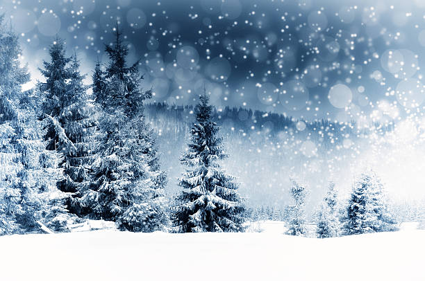 istock Christmas background with snowy fir trees 626290280