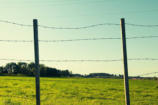 istock Barbered fence on meadow 626290886