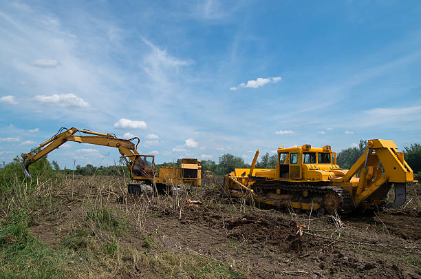 scavatore e bulldozer che ripuleno i terreni forestali. - earth mover working field dirt foto e immagini stock