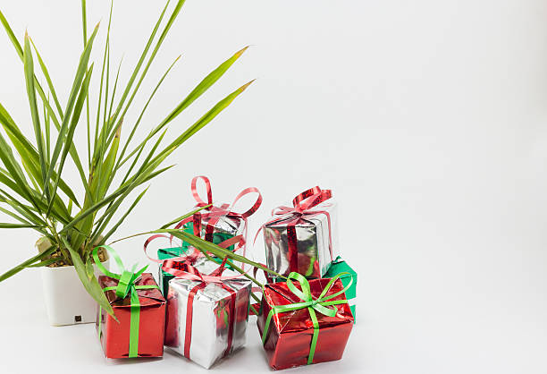 istock Christmas gift boxes and tree in pot on white background. 626312388