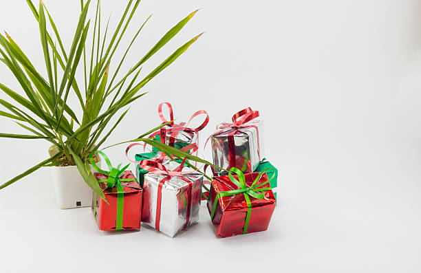 istock Christmas gift boxes and tree in pot on white background. 626312398