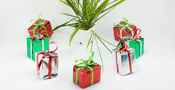istock Christmas gift boxes and tree in pot on white background. 626320846