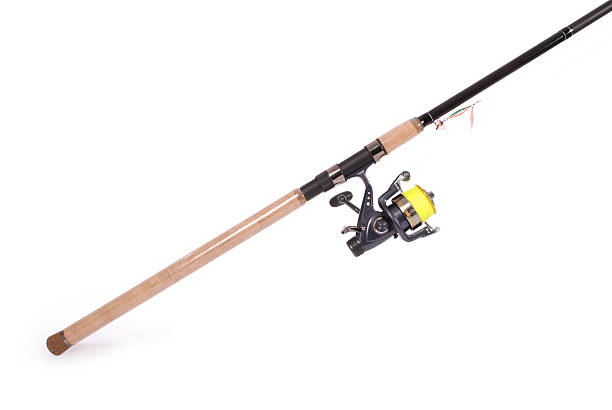 istock One fishing rod 626321586