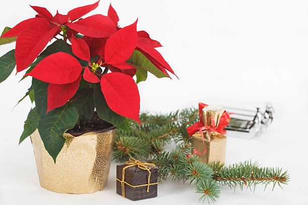 istock Merry Christmas and Happy New Year card 626338414
