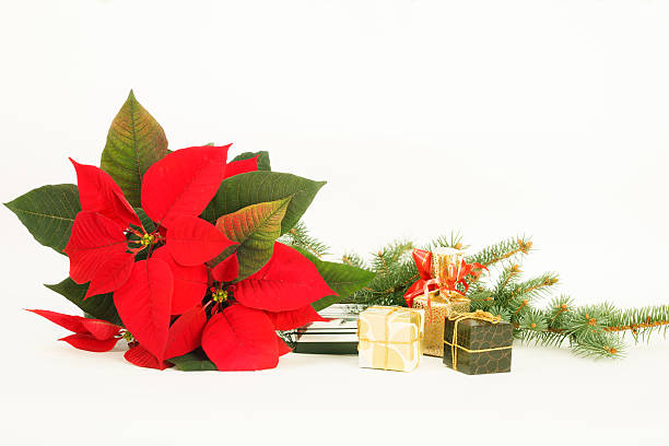 istock Merry Christmas Card 626338598