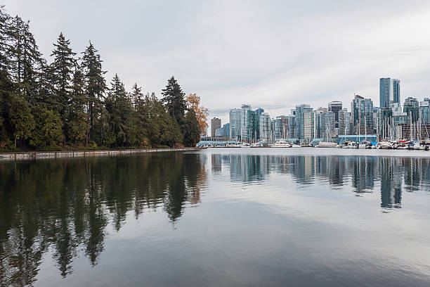 istock Forest meets Skyscrapers, Stanley Park, Vancouver Downtown, Vancouver, BC, Canada 626339706