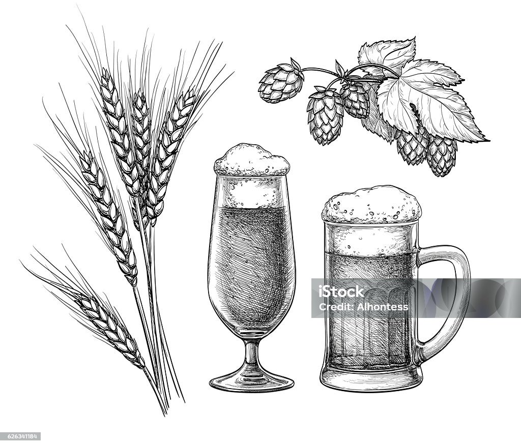 Hops, malt, beer glass and beer mug Hops, malt, beer glass and beer mug. Isolated on white background. Hand drawn vector illustration. Retro style. Beer - Alcohol stock vector