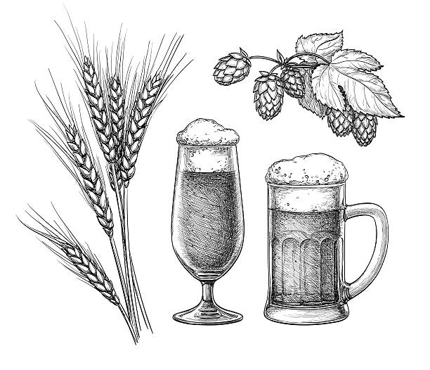 Hops, malt, beer glass and beer mug Hops, malt, beer glass and beer mug. Isolated on white background. Hand drawn vector illustration. Retro style. beer stock illustrations