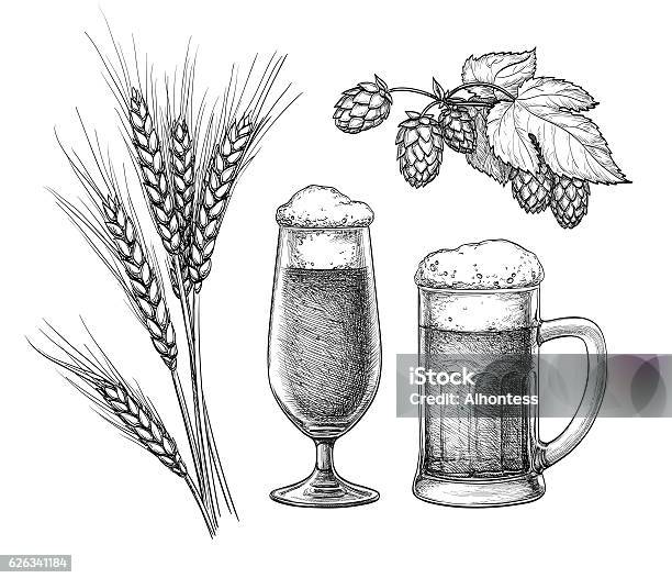 Hops Malt Beer Glass And Beer Mug Stock Illustration - Download Image Now - Beer - Alcohol, Hops Crop, Illustration