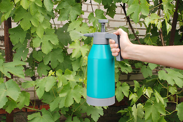 istock Male hand holding spray bottle 626347924