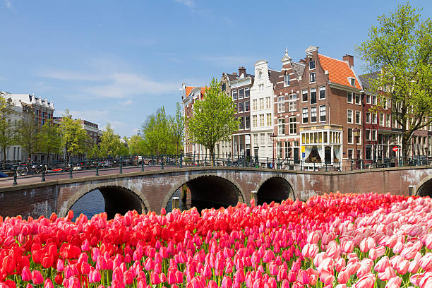 istock bridges of canal ring, Amsterdam 626348366