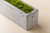 Stylish concrete planters with green moss