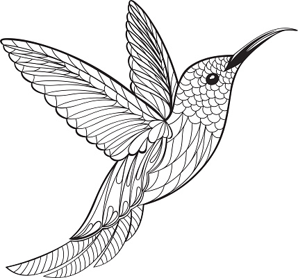 Ilustración de Página Para Colorear Colibrí y más Vectores Libres de Derechos de Colibrí - Colibrí, Página de libro para colorear - Técnica de ilustración, Vector - iStock Ilustración de Página Para Colorear Colibrí y más Vectores Libres de Derechos de Colibrí - Colibrí, Página de libro para colorear - Técnica de ilustración, Vector - iStock
