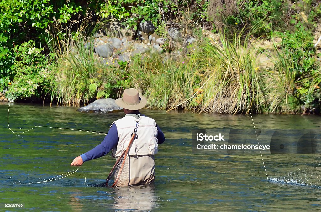 Fly Fishing A fisherman fly fishes for Trout fish in Tongariro river near Taupo lake, New Zealand. Adult Stock Photo