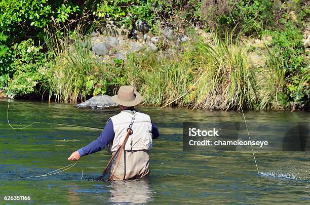 Fly Fishing Stock Photo - Download Image Now - Adult, Fisher - Role, Fisherman