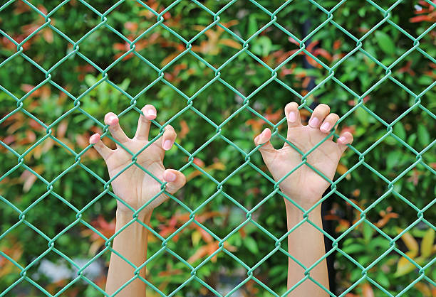 istock Hands touching a metal fence 626352952