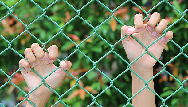 istock Hands touching a metal fence 626353110