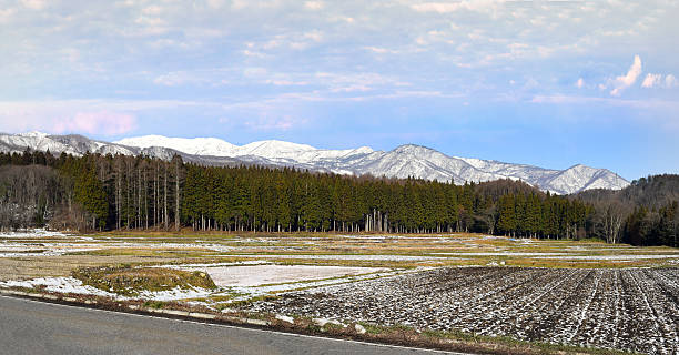istock Hakuba mountain range from the flat village farming land 626361252