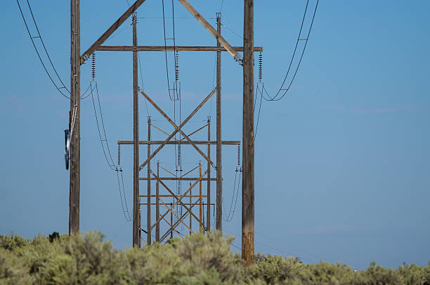 istock Utility Poles Standing in the Desert 626361458