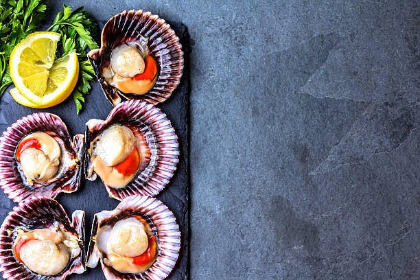 istock Raw scallops with lemon, cilantro on slate plate, white wine 626361566