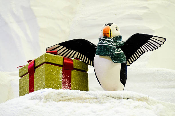 Christmas penguin decoration with gift box
