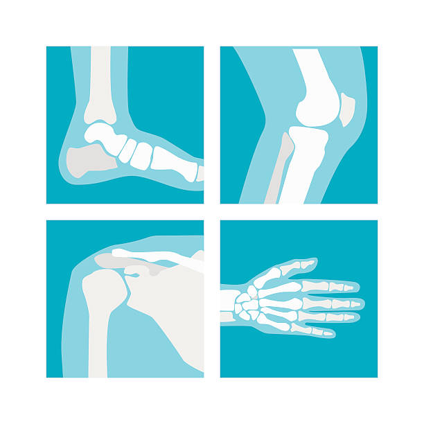 illustrations, cliparts, dessins animés et icônes de dessin animé human joints set. vecteur - talus