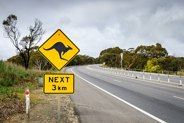 segnale stradale canguro in australia meridionale - kangaroo animal australia outback foto e immagini stock