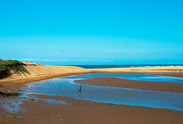 istock Lagoon and Sand Dune Against Ocean and Blue Sky 626374400