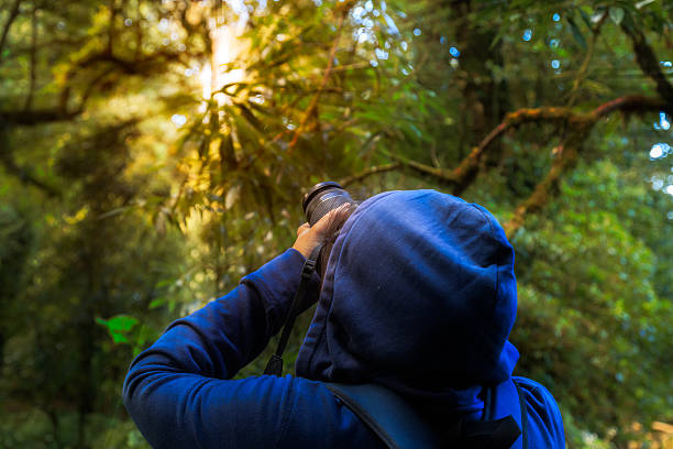 istock tourist take photo in rainforest 626386348