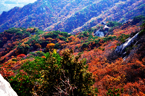 Beautiful mountain scenery of Mount Hehuan in Taiwan.