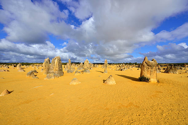 istock The Pinnacles Desert, Western Australia 626388490