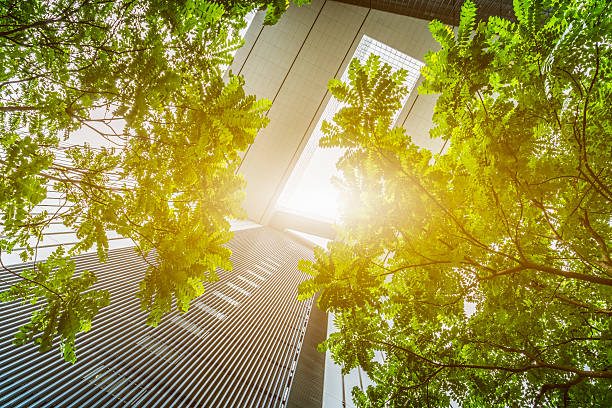 porción de árboles contra edificios de oficinas - built structure business building exterior glass fotografías e imágenes de stock