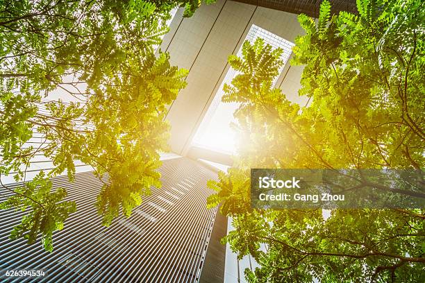 Portion Of Trees Against Office Buildings Stock Photo - Download Image Now - Green Color, Environmental Conservation, City