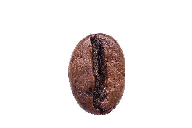 istock Roasted coffee beans, Brown coffee texture for background 626398222