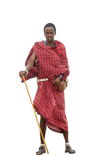 Maasai warrior isolated on white