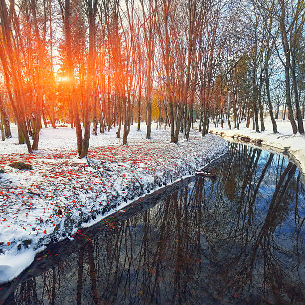 istock Scenic view of the river and trees with first snow. 626398962