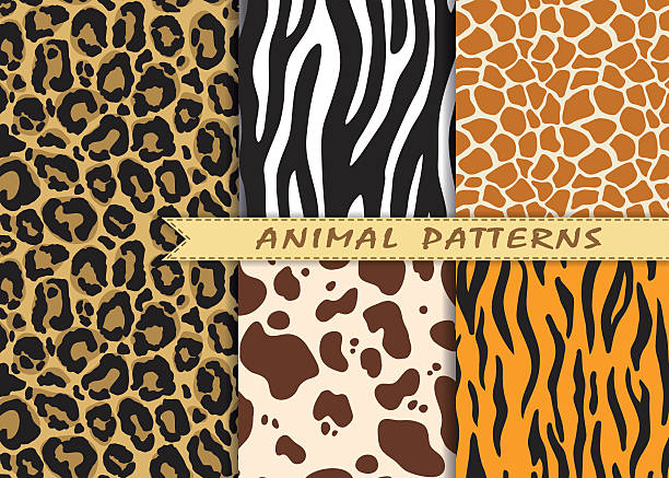 Vector seamless patterns set with animal skin texture. Vector seamless patterns set with animal skin texture. Repeating animal backgrounds for textile design, scrapbooking, wrapping paper. Vector animal prints. fur textures stock illustrations