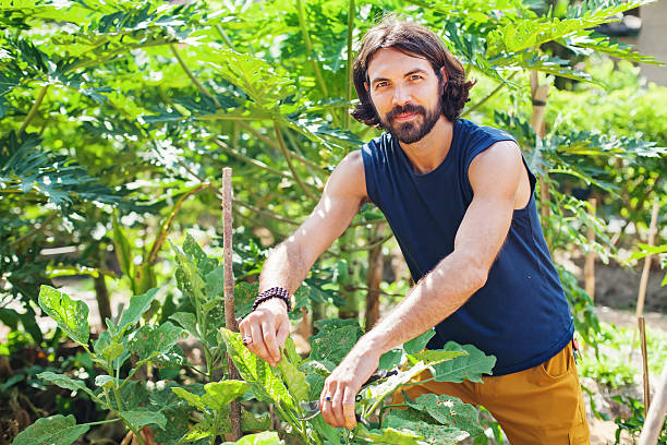 istock gardener trimming plants 626411516