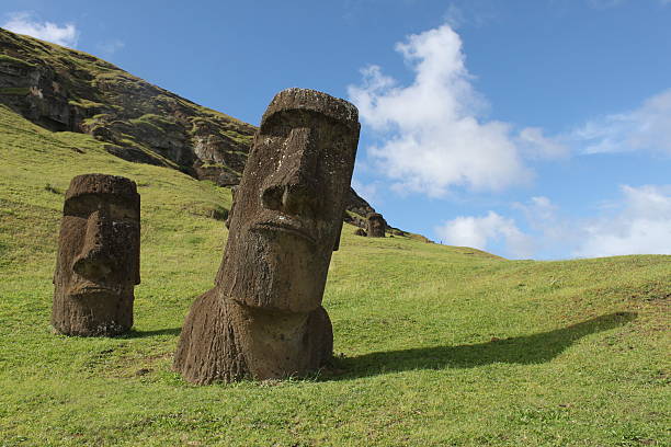 wysokie moai głowy wyspy wielkanocnej stoją na straży. - moai statue statue ancient past zdjęcia i obrazy z banku zdjęć