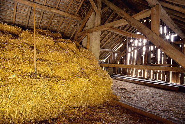 istock Interior of hay barn 626413356