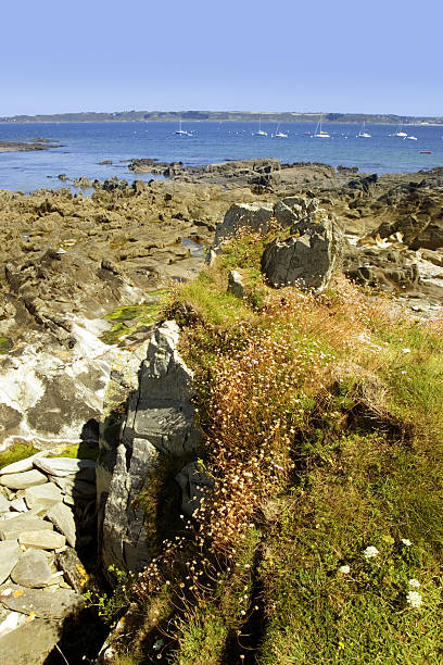 istock french breton bretagne coast coastal 626421188