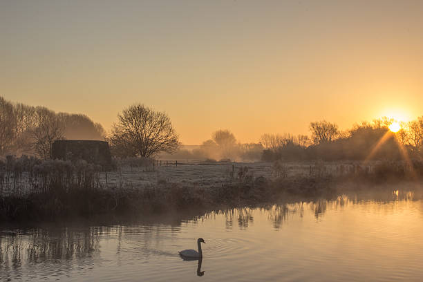 alba sul tamigi - winter river foto e immagini stock