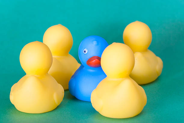 Racism, discrimination and social exclusion concept with color rubber ducks. (Selective focus toned image)